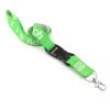 Ride Rich Lanyard {Green}