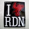 Ride Rich I Love Ridin Vinyl Sticker {Large}